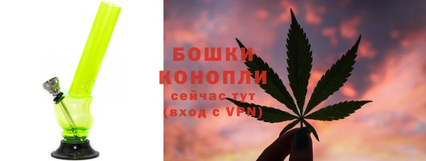 дживик Володарск