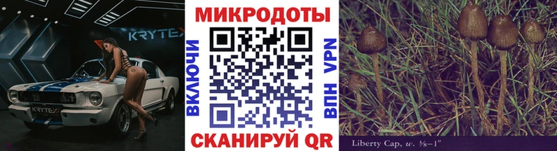 Псилоцибиновые грибы ЛСД  даркнет сайт  blacksprut рабочий сайт  Химки 